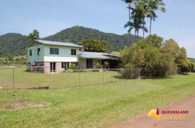 Farm For Sale - QLD - Utchee Creek - 4871 - Banana / Small Crops / Grazing  (Image 2)