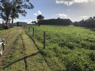 Farm For Sale - WA - Meerup - 6262 - Prime Farmland - 158 acres 7 kms West of Northcliffe  (Image 2)
