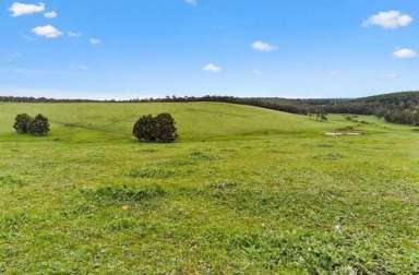 Farm Sold - WA - Carlotta - 6275 - Prime Rural Lifestyle: Stunning 177-Acre Property South of Nannup  (Image 2)