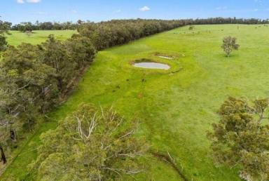 Farm For Sale - WA - Carlotta - 6275 - Prime Rural Lifestyle: Stunning 177-Acre Property South of Nannup  (Image 2)