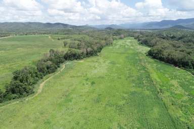 Farm Sold - QLD - Bloomsbury - 4799 - Bloomsbury Acreage  (Image 2)