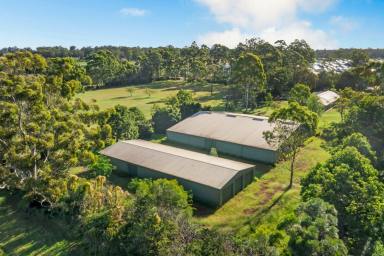 Farm For Sale - QLD - Highfields - 4352 - Enjoy Now and Develop in the Future....  (Image 2)