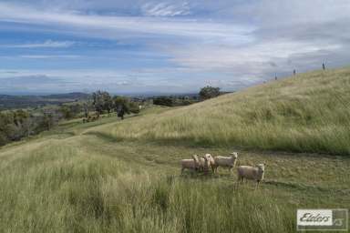 Farm For Sale - QLD - Tallegalla - 4340 - Elevate Your Lifestyle at "Hillview"- 16 Acres  (Image 2)