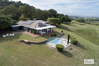 Farm For Sale - QLD - Tallegalla - 4340 - Floating in the Clouds on 16 Acres  (Image 2)