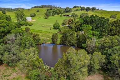 Farm For Sale - QLD - Wilsons Pocket - 4570 - NOT JUST A SHED-A DREAM UNFOLDS!  (Image 2)