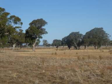 Farm Sold - VIC - Douglas - 3409 - " The Red Gum "  (Image 2)