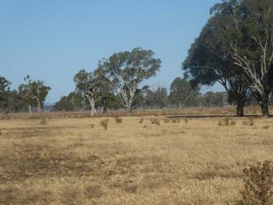 Farm Sold - VIC - Douglas - 3409 - " The Red Gum "  (Image 2)