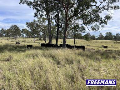 Farm For Sale - QLD - Brigooda - 4613 - 497.94 hectares of sprawling grazing country  (Image 2)