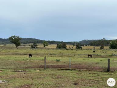 Farm For Sale - NSW - Gungal - 2333 - Price Guide $1,250,000 - $1,300,000  (Image 2)