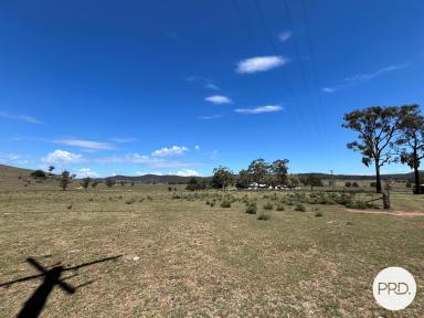 Farm For Sale - NSW - Gungal - 2333 - Price Guide $1,250,000 - $1,300,000  (Image 2)