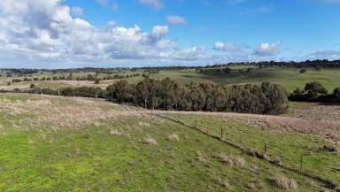 Farm Sold - SA - Strathalbyn - 5255 - Wiltipoll Park  (Image 2)