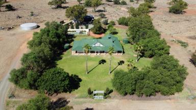 Farm For Sale - NSW - Nyngan - 2825 - Elegant Country Charm with approx.120 Acres of Serenity  (Image 2)