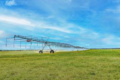 Farm Sold - VIC - Gelliondale - 3971 - Irrigated South Gippsland Powerhouse  (Image 2)