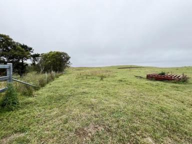 Farm For Sale - NSW - Bannaby - 2580 - 250 Acres, Magnificent Views, Grazing Country, Road Frontage, Zoned RU2,  (Image 2)