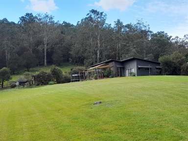 Farm For Sale - NSW - Dorrigo - 2453 - Luxurious lifestyle on 106 riverfront acres  (Image 2)