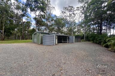 Farm Sold - QLD - Bauple - 4650 - PERFECT DUAL LIVING OPPORTUNITY IN BAUPLE!  (Image 2)