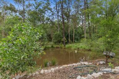 Farm Sold - QLD - Glenwood - 4570 - STUNNING IN EVERY ASPECT!  (Image 2)