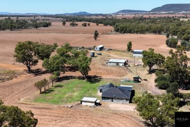 Farm For Sale - NSW - Gunnedah - 2380 - OVER 300 ACRES LOCATED ON THE FRINGE OF THE LIVERPOOL PLAINS  (Image 2)