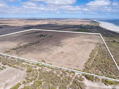 Farm Tender - SA - The Pines - 5577 - Ready for a Sea Change * This property offers 145 Acres with an old house on it Renovate or Demolish * Lifestyle * Hobby Farm *  (Image 2)
