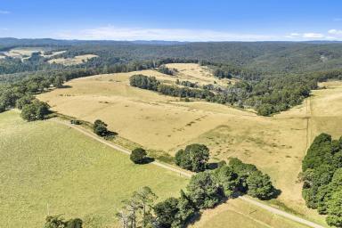 Farm For Sale - VIC - Erica - 3825 - 'Darrabrook' Pastoral Grazing Holding  (Image 2)