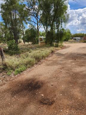 Farm For Sale - QLD - Mitchell - 4465 - Large block 3 titles  (Image 2)
