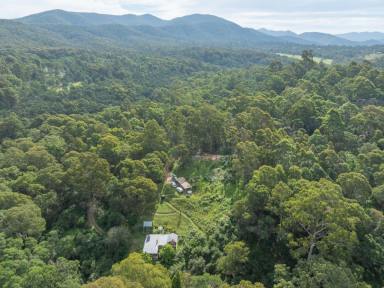 Farm For Sale - NSW - Brogo - 2550 - PRIVATE OFF-GRID LIVING  (Image 2)