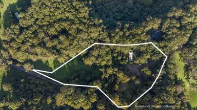 Farm For Sale - NSW - Woodhill - 2535 - Tranquil Land Offering  (Image 2)