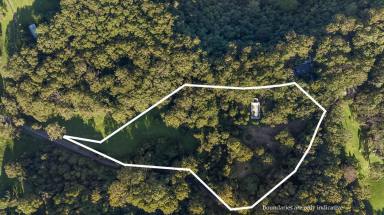 Farm For Sale - NSW - Woodhill - 2535 - Tranquil Land Offering  (Image 2)