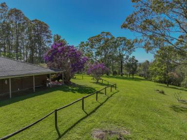 Farm For Sale - NSW - Hallidays Point - 2430 - Ocean Views, Privacy and Subdivision Potential.  (Image 2)