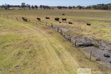 Farm For Sale - SA - Furner - 5280 - "SPIONKOP"  A great start out block!  (Image 2)