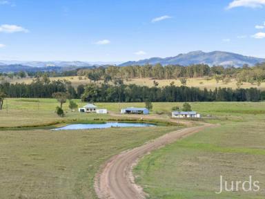 Farm Sold - NSW - Sedgefield - 2330 - CONVENIENTLY COUNTRY  (Image 2)