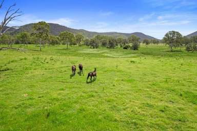 Farm For Sale - QLD - Lower Wonga - 4570 - COUNTRY LIVING AT ITS BEST  (Image 2)