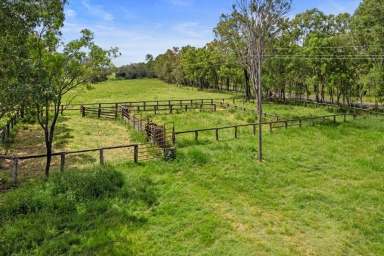 Farm For Sale - QLD - Lower Wonga - 4570 - COUNTRY LIVING AT ITS BEST  (Image 2)