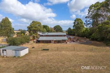 Farm For Sale - TAS - Ridgley - 7321 - Country Lifestyle!  (Image 2)