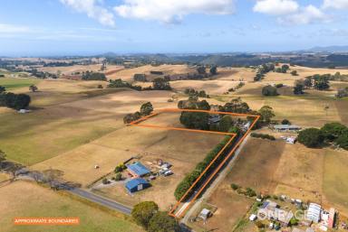 Farm For Sale - TAS - Ridgley - 7321 - Country Lifestyle Only Minutes To Town!  (Image 2)