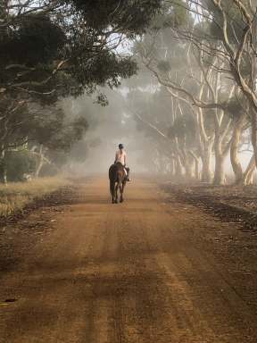 Farm For Sale - WA - Neridup - 6450 - 'Shiloh Farms' 
Substantial Mixed Farming Opportunity East of Esperance  (Image 2)