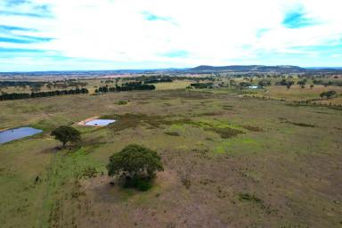 Farm For Sale - NSW - Goulburn - 2580 - Private Rural Location  (Image 2)