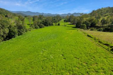 Farm For Sale - QLD - Pinnacle - 4741 - 587 ACRES OF COASTAL GRAZING  (Image 2)