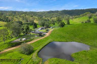 Farm For Sale - QLD - Pinnacle - 4741 - 587 ACRES OF COASTAL GRAZING  (Image 2)