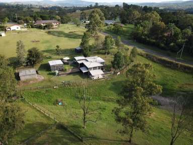 Farm For Sale - NSW - Wingham - 2429 - ACRES IN TOWN | GET IN QUICK!  (Image 2)