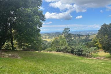 Farm For Sale - QLD - Sunshine Coast - 4572 - Unparalleled Opportunity Near the Clouds in Beautiful Hinterland  (Image 2)