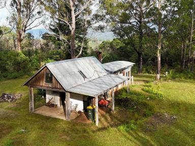Farm For Sale - NSW - Bemboka - 2550 - MUD BRICK CABIN, BUSH SETTING, BUILDING ENTITLEMENT  (Image 2)
