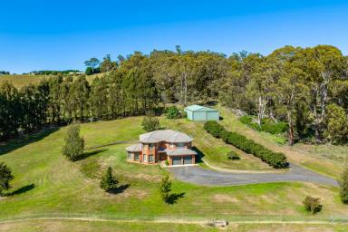Farm For Sale - NSW - Oberon - 2787 - EXPANSIVE FAMILY HOME ON 31ACRES*, DEVELOPMENT POTENTIAL, 2HRS FROM SYDNEY!  (Image 2)
