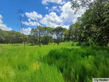 Farm For Sale - QLD - Munro Plains - 4854 - STOP SEARCHING, START LIVING  (Image 2)