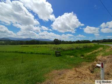 Farm For Sale - QLD - Munro Plains - 4854 - STOP SEARCHING, START LIVING  (Image 2)