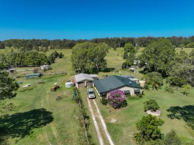 Farm For Sale - NSW - Mitchells Island - 2430 - An unparalleled opportunity!  (Image 2)