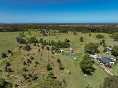 Farm For Sale - NSW - Mitchells Island - 2430 - An unparalleled opportunity!  (Image 2)