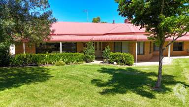 Farm Sold - NSW - Wee Waa - 2388 - GORGEOUS EXECUTIVE RESIDENCE, SITUATED ON 1 ACRE, IN TOWN!!  (Image 2)