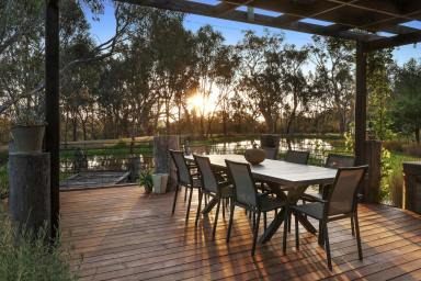 Farm For Sale - VIC - Barwite - 3722 - 'Netherbridge' Rammed Earth River Frontage  (Image 2)