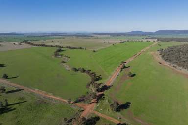 Farm Sold - NSW - Binya - 2665 - Multiple Incomes from this Picturesque Block  (Image 2)